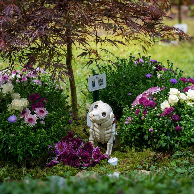 Cover Image for Capturing Legacy with Cemetery Photography