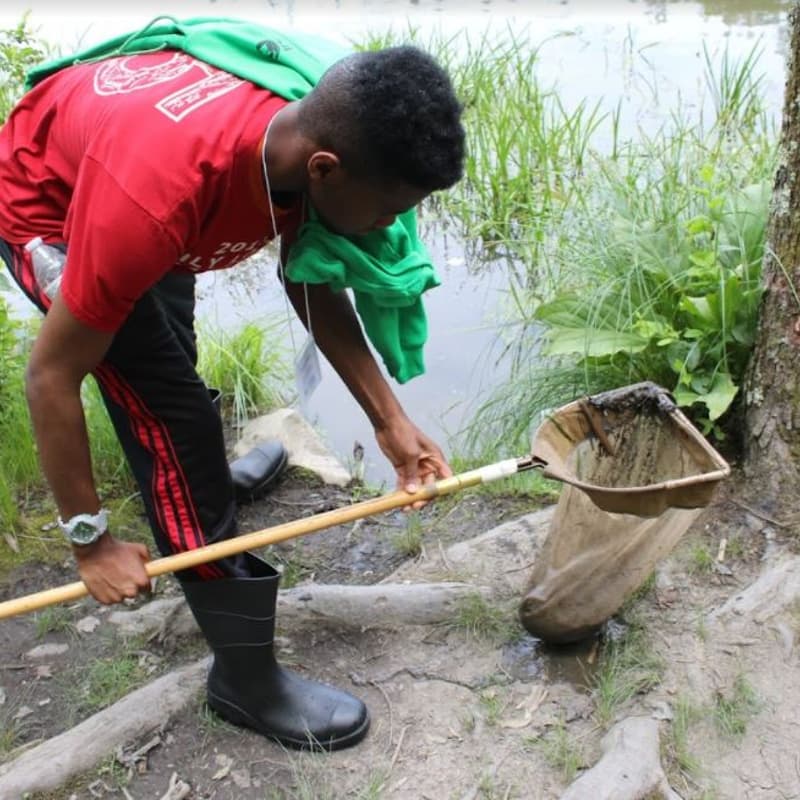 Cover Image for RFP Webinar: Reduce Sewage Overflows