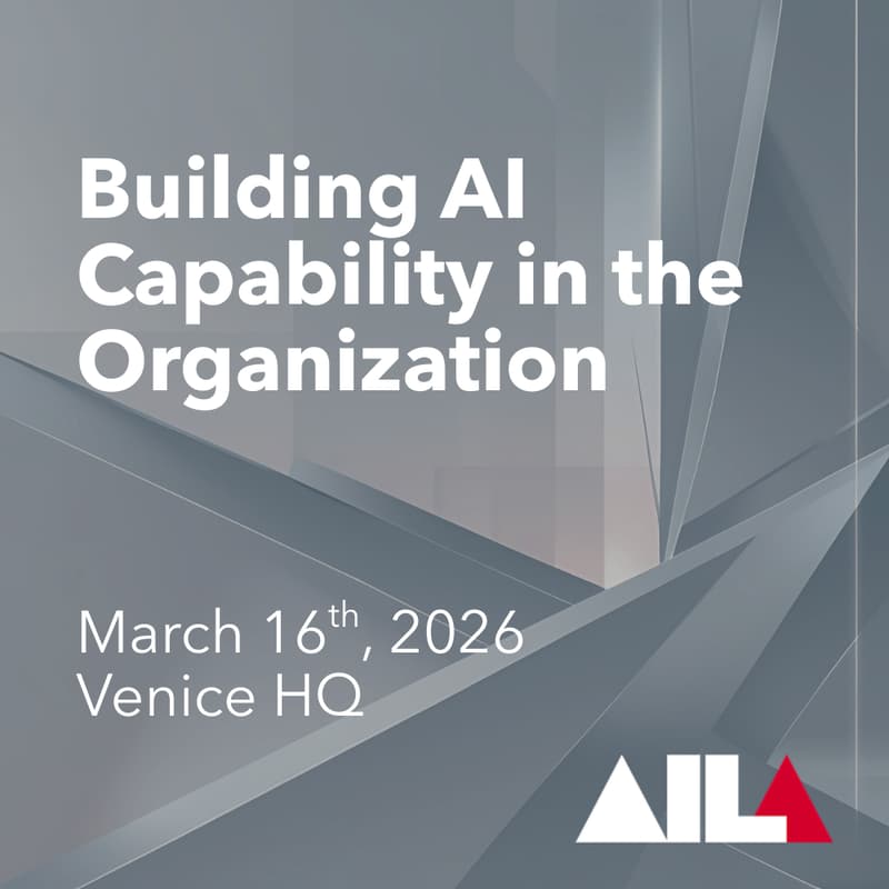 Cover Image for Building AI Capability in the Organization