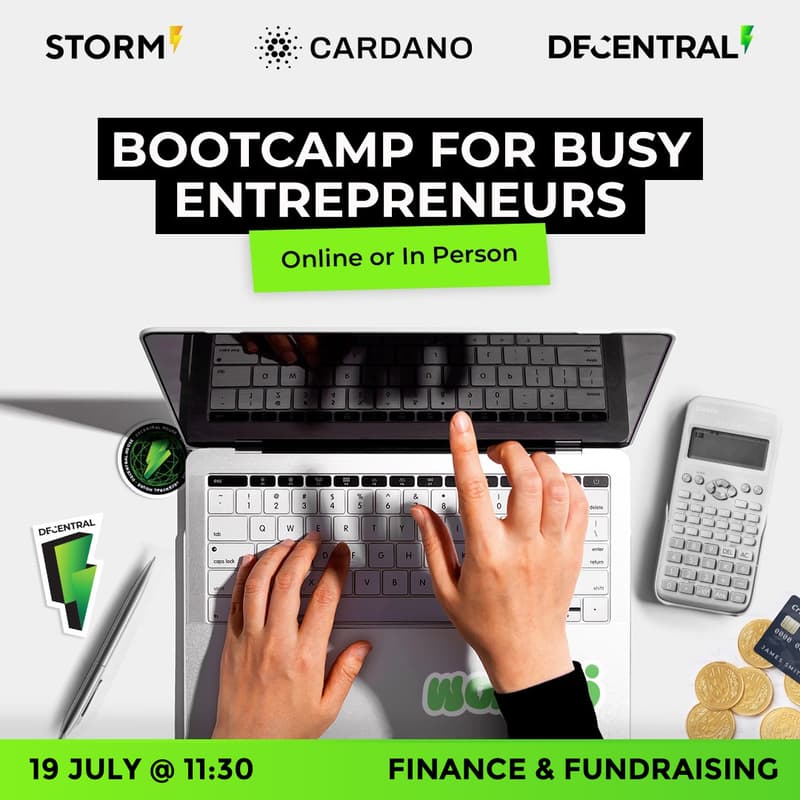 Cover Image for Busy Entrepreneurs Bootcamp - Week 11 (Web3 Fundraising for Startups)