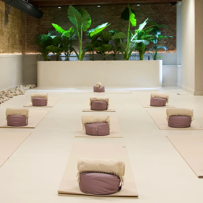 Cover Image for Wellness Fusion Experience