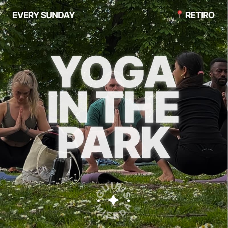 Cover Image for Yoga in the Park
