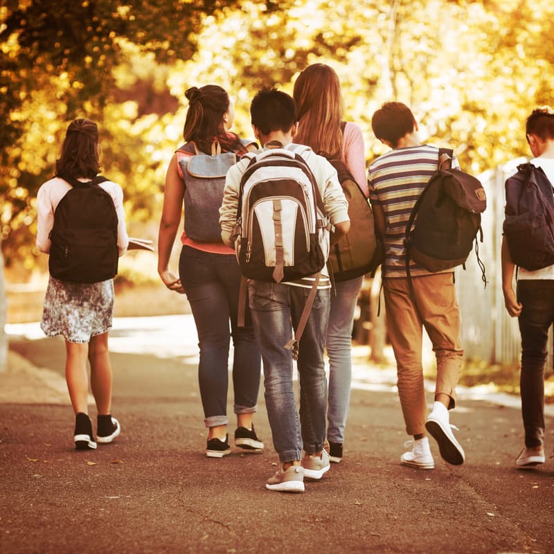 Cover Image for Townie4Townie: Reimagine Your Child’s Education—Strategic Pathways for All Learners