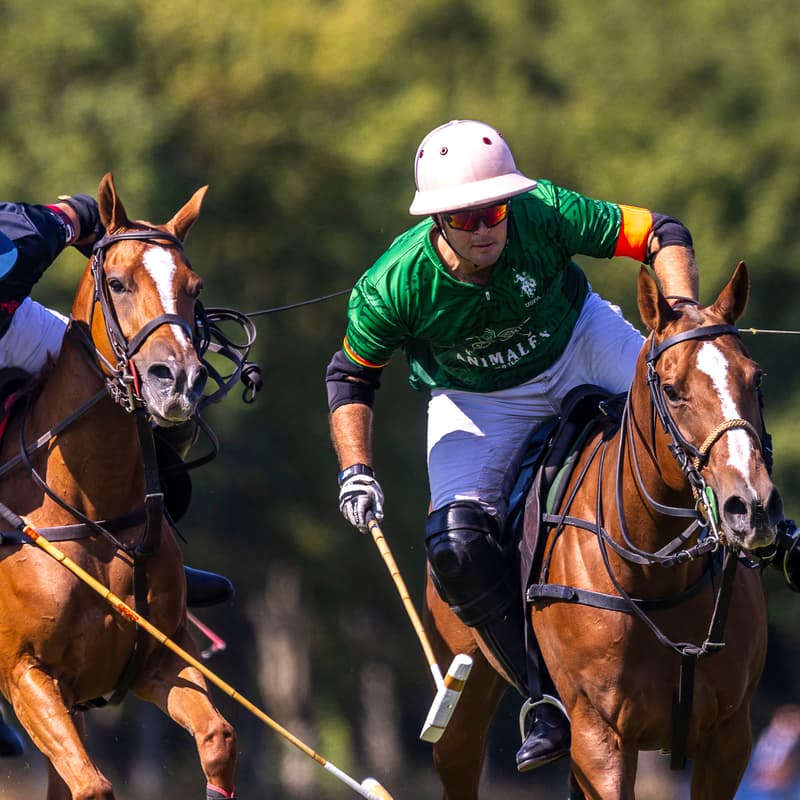 Cover Image for Watch Polo Tournament: "Trophée Bourbon"