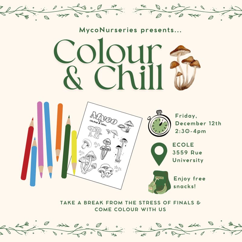 Cover Image for Colour & Chill