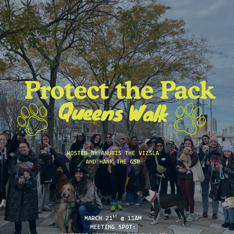 Cover Image for Protect the Pack Queens, NY Dog Walk