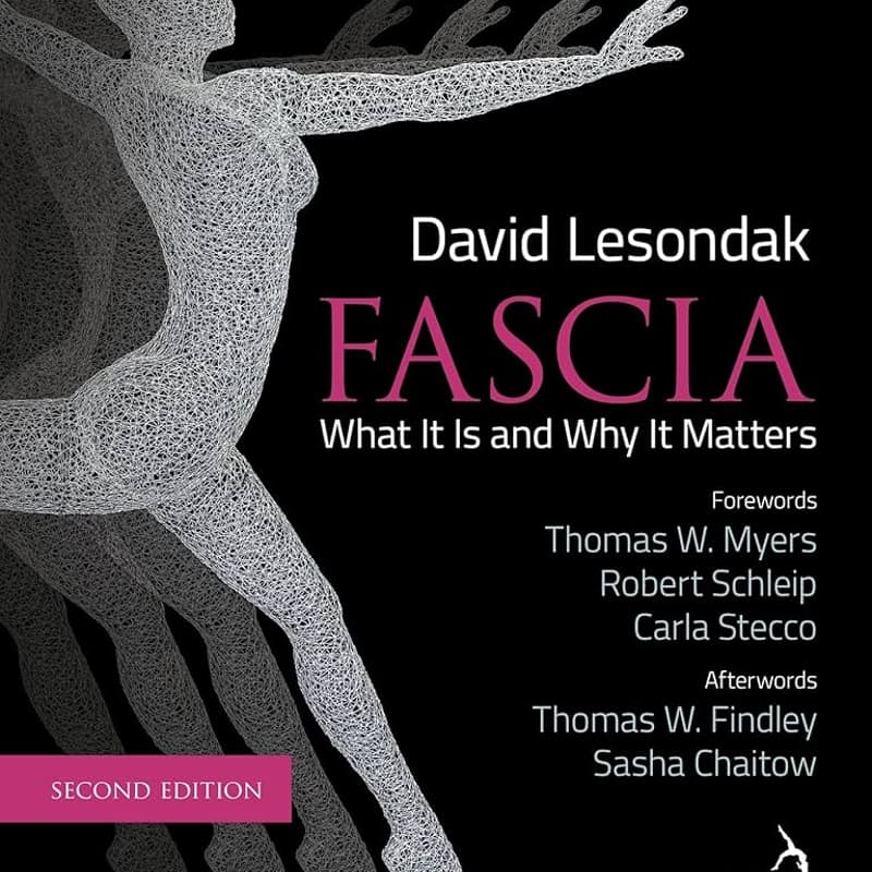 Cover Image for David Lesondak — Myofascial Theory & Application (English Instruction) 肌筋膜理论及应用 (英文教学)