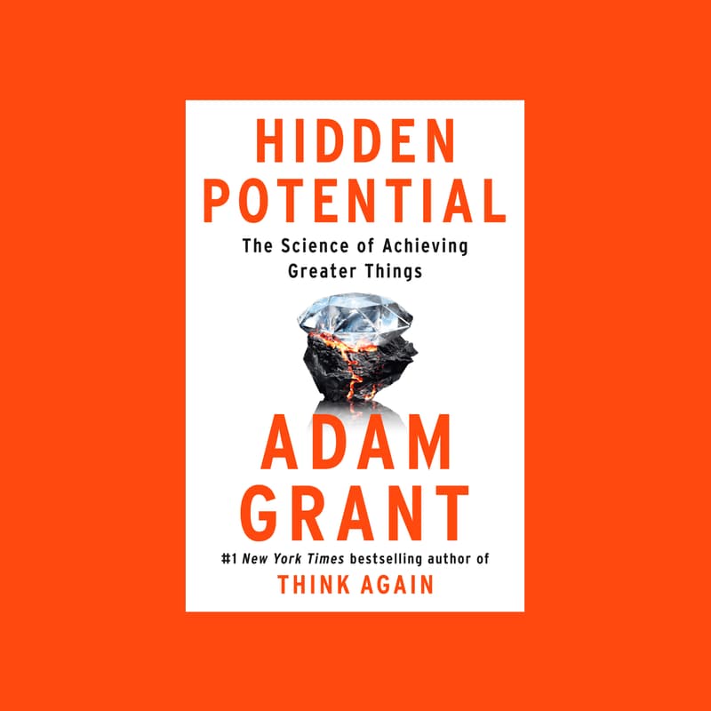 Cover Image for Non-Fiction Book Club: Hidden Potential [public]