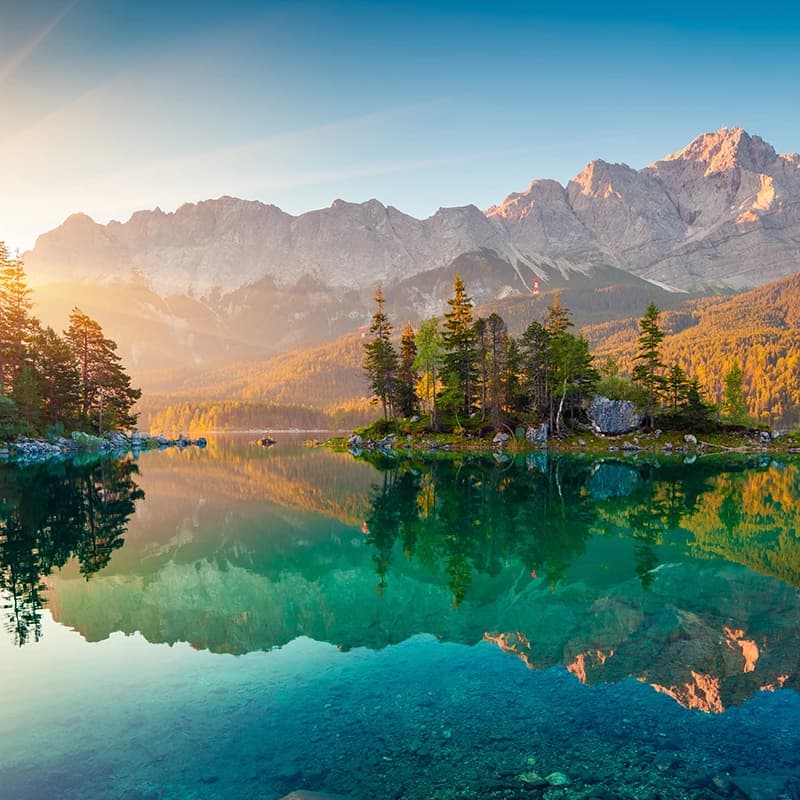 Cover Image for Restore Nature Day: Re-designing the Economy for Living Systems