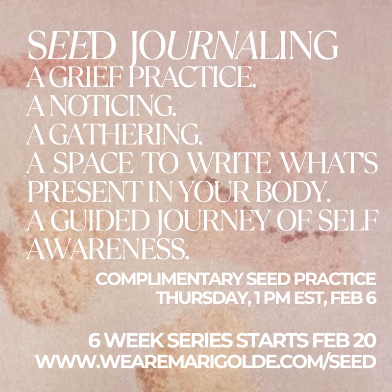 Cover Image for Seed Journaling for grief