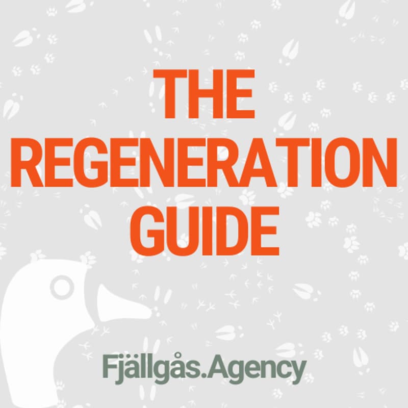 Cover Image for The Regeneration Guide
