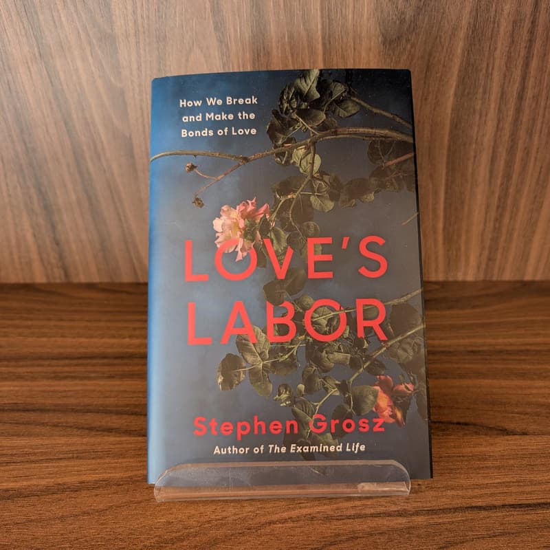 Cover Image for Book Club: Love's Labor by Stephen Grosz