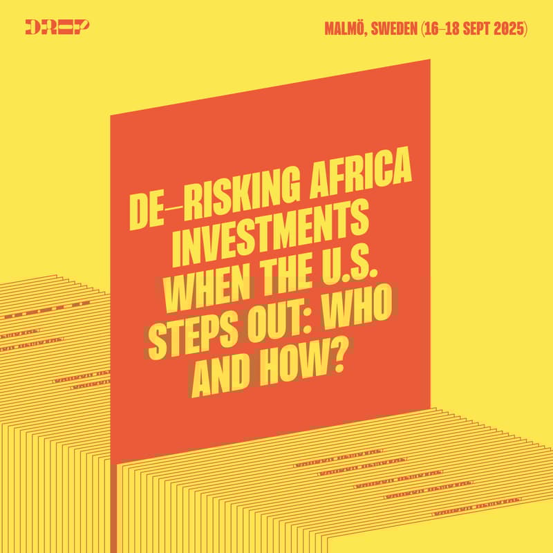 Cover Image for De-risking Africa investments when the U.S. steps out: who and how?