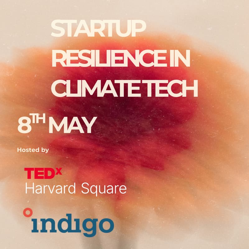 Cover Image for Startup Resilience in Climate Tech: Everyone has a plan until they get punched in the face