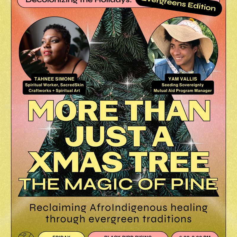 Cover Image for (IRL) More than Just an Xmas Tree: The Magic of Pine