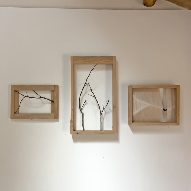 Cover Image for Being-seen-being