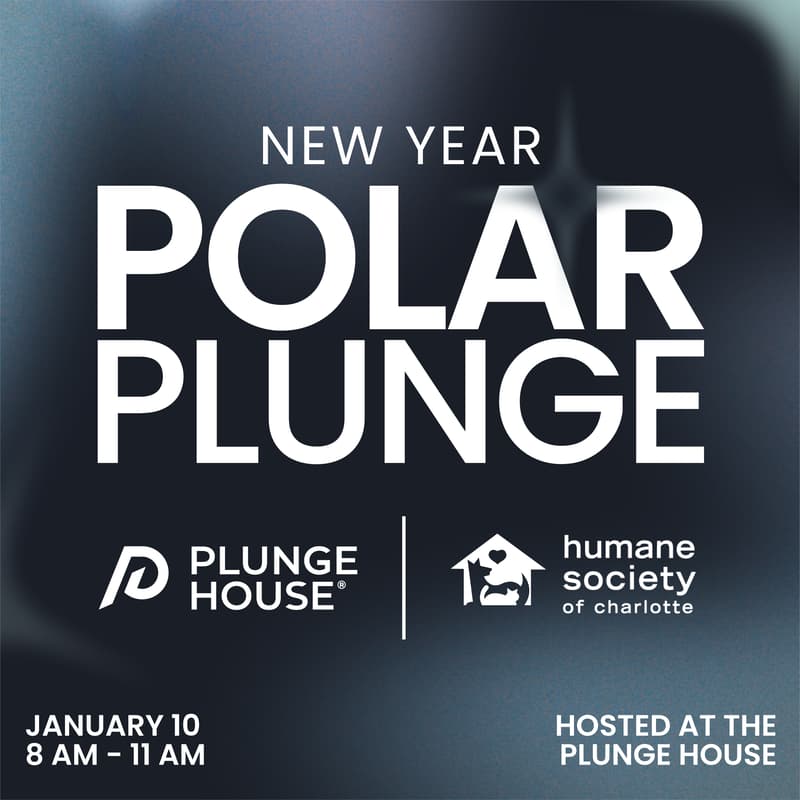 Cover Image for Plunge for a Cause: New Year Polar Plunge ❄️🐾