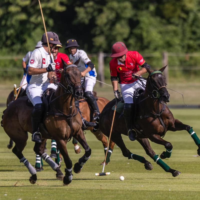 Cover Image for Watch Polo Tournament: "Trophée Bourbon"