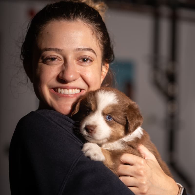 Cover Image for AfroPuppyYoga |📍Hamilton | Valentine Edition 💝|🐶Aussie Shepherds