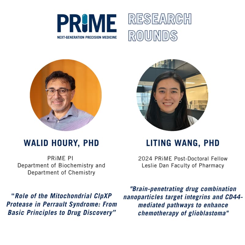 Cover Image for November Research Rounds