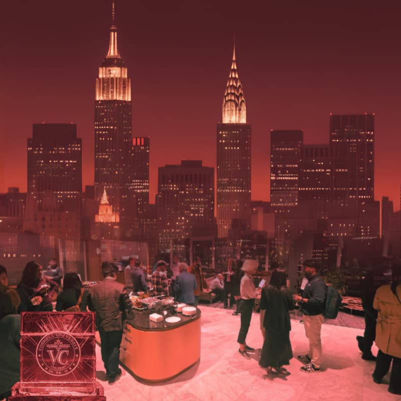 Cover Image for Cornellians in VC Cocktail Reception