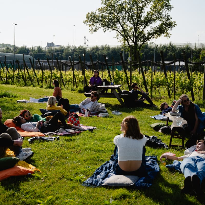 Cover Image for 📚🎶 1-Hour Reading Rave | with Live Music | Volkspark am Weinberg | FREE Outdoor Event