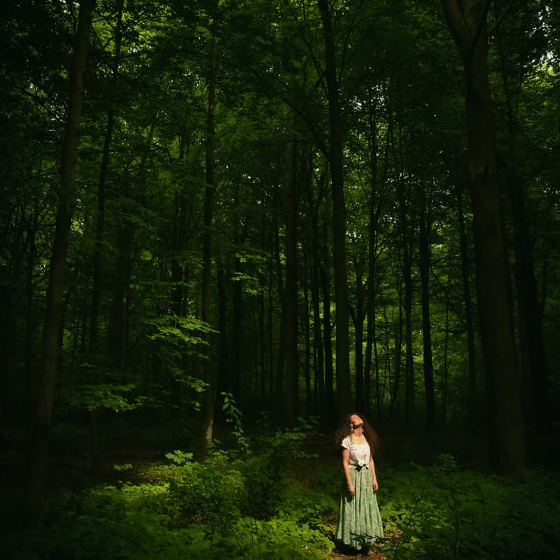 Cover Image for Forest Bathing & Photography