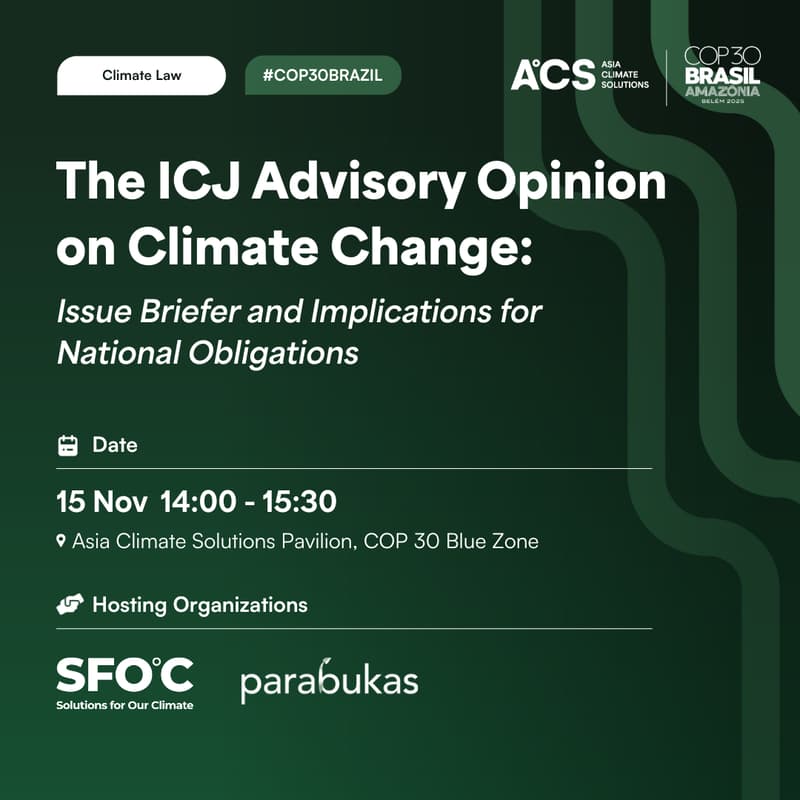Cover Image for The ICJ Advisory Opinion on Climate Change: Issue Briefer and Implications for National Obligations