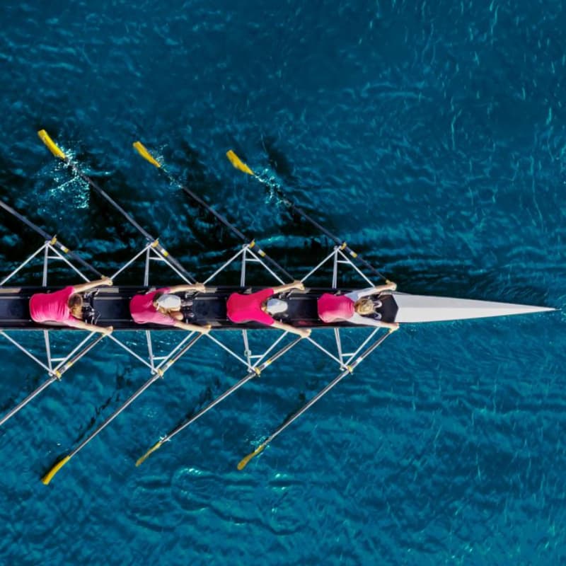 Cover Image for Making Sense When the Ground Is Moving: Acting Together in a Volatile World