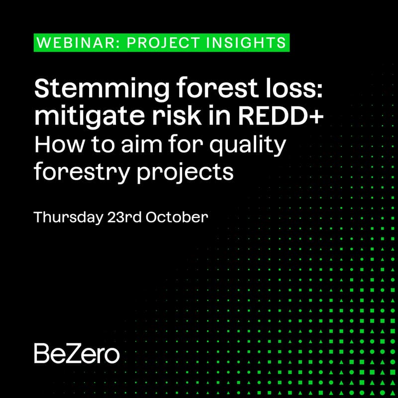 Cover Image for Stemming forest loss: mitigate risk in REDD+