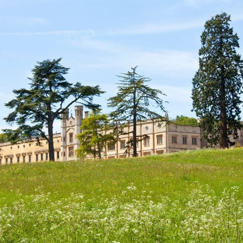 Cover Image for Free Offline Walk | Ashton Court 🚶☕