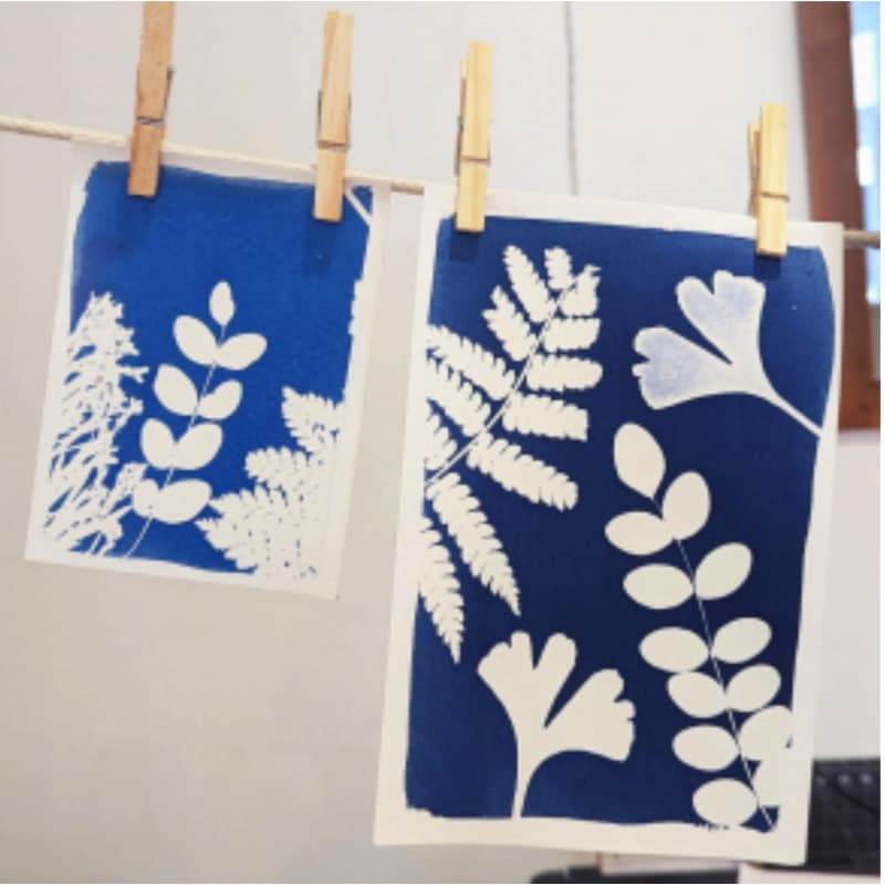 Cover Image for sun print workshop with lauren fiasconaro