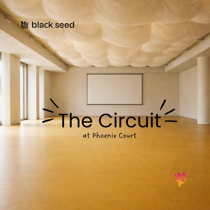 Cover Image for The Circuit @ Phoenix Court