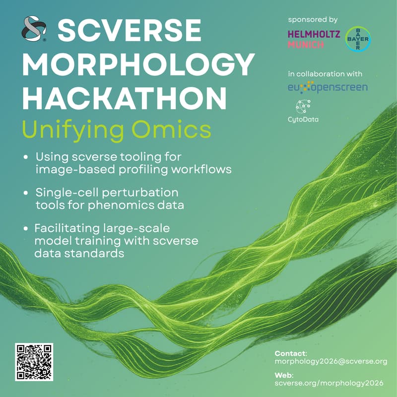 Cover Image for scverse x morphology 2026