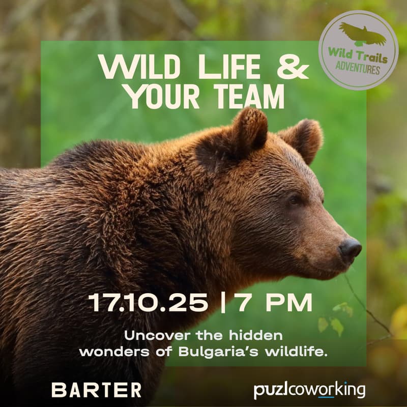 Cover Image for Wild Life & Your Team | Wild Trails Adventure @Barter Community Hub
