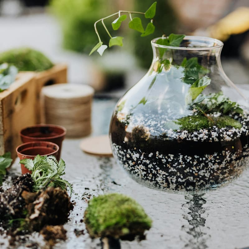 Cover Image for Spring Garden Workshop