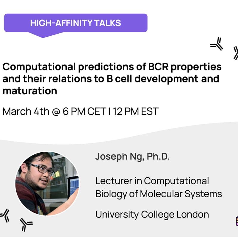 Cover Image for Computational predictions of B cell receptor properties and their relations to B cell development and maturation