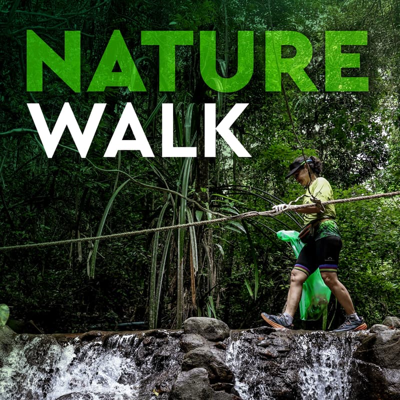 Cover Image for NATURE WALK