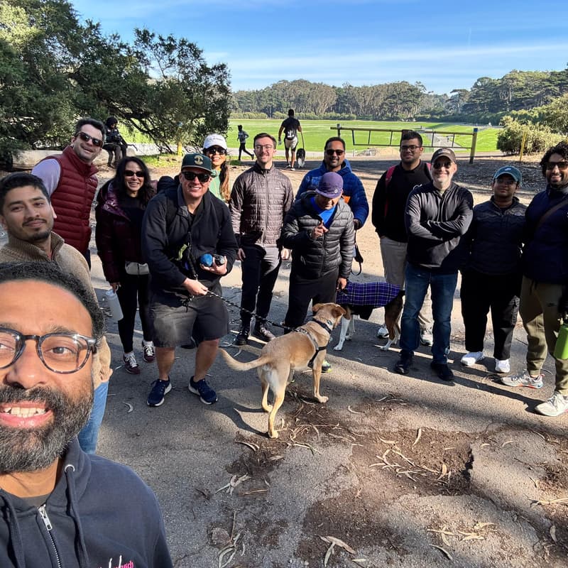 Cover Image for It's a Walk in the Park! #3