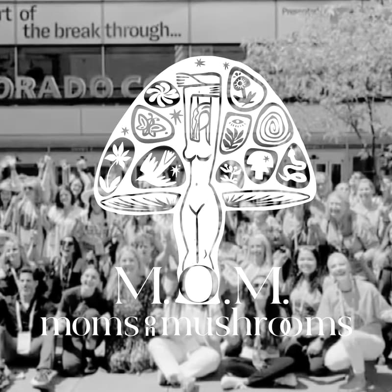 Cover Image for An Evening with Moms on Mushrooms