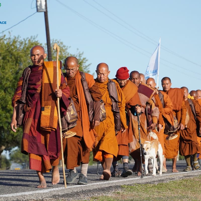 Cover Image for Walk for Peace LA - Co-Organizing Meeting #2