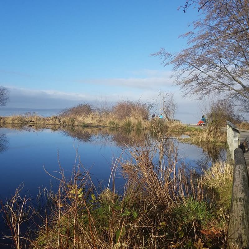 Cover Image for Wonderful Water Birds of Golden Gardens Park