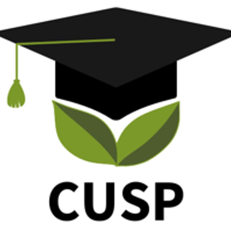 Cover Image for CUSP Environmental Sustainability Career Workshop