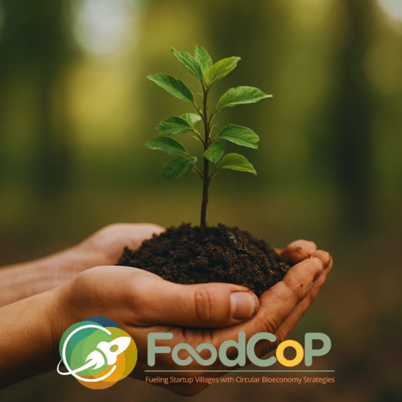 Cover Image for Food Community of Practice Best Practices Webinar