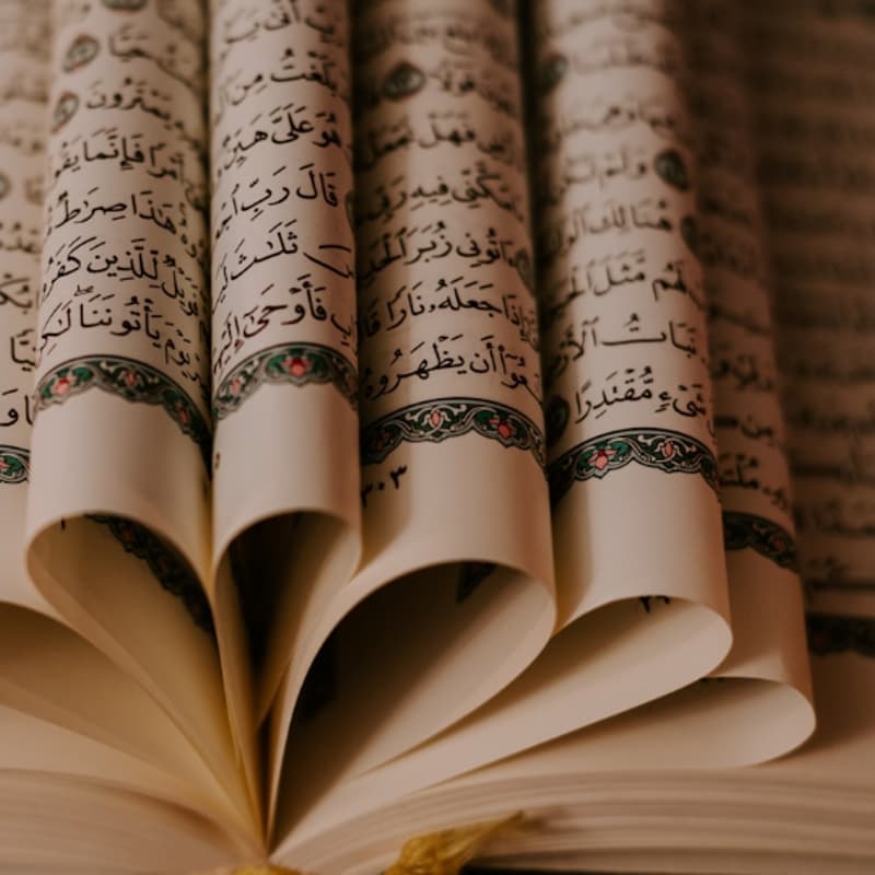 Cover Image for Sisters Tajweed