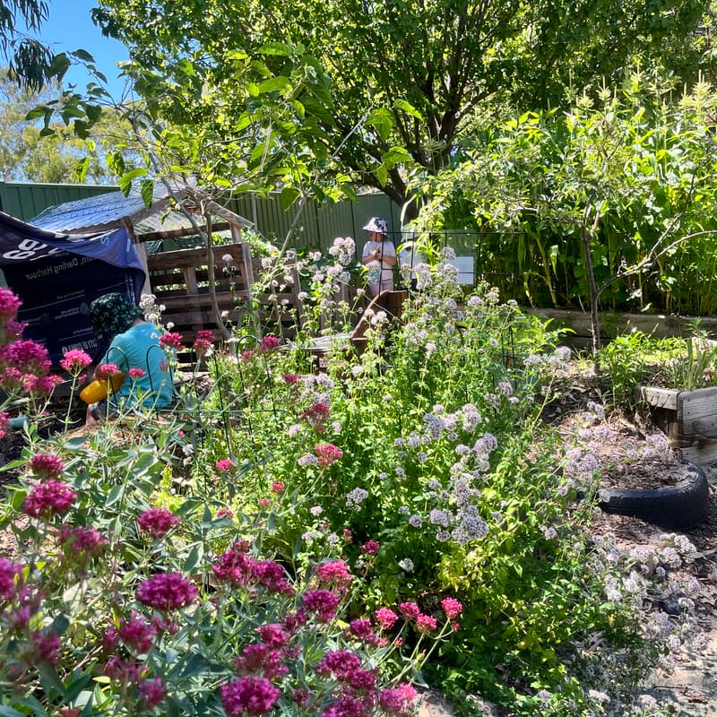 Cover Image for Nature Pedagogy In ECEC