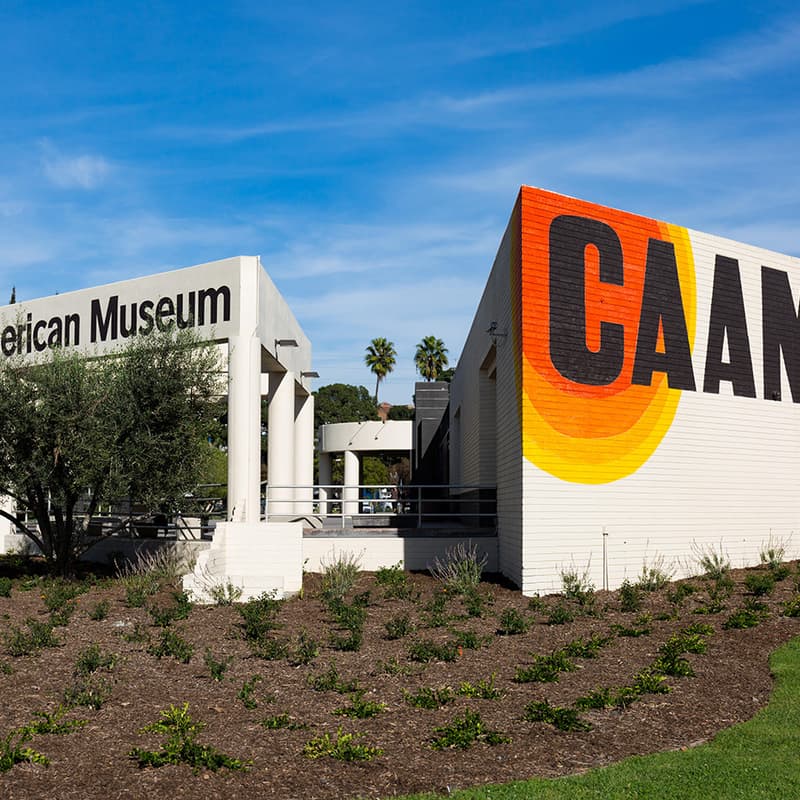 Cover Image for An Escape to the California African American Museum