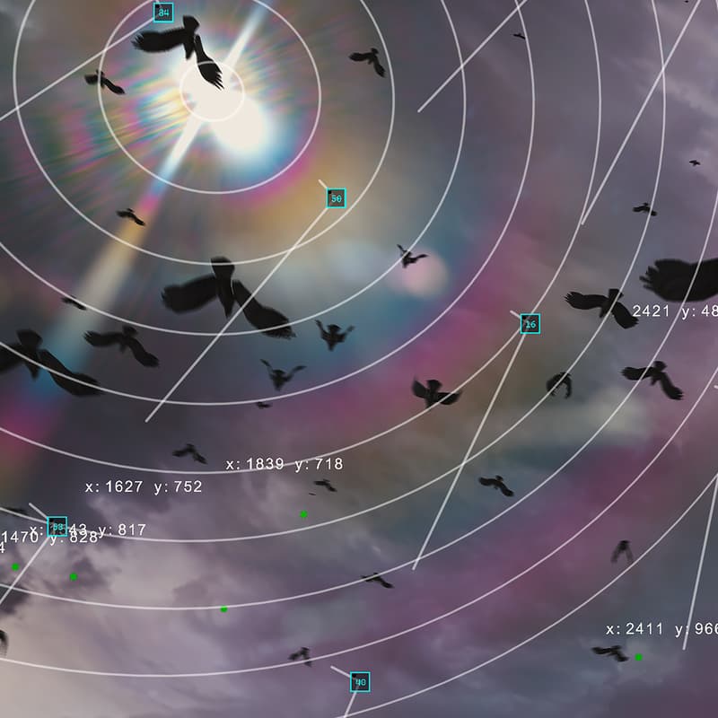 Cover Image for TRANSFER Download: AliveNET