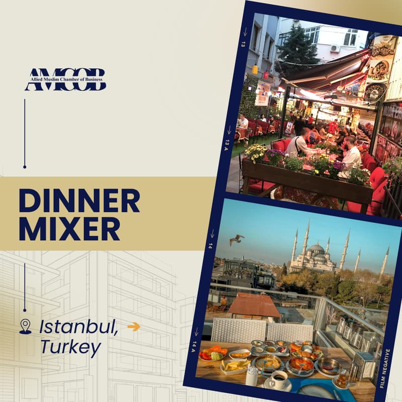 Cover Image for Istanbul, Turkey: Dinner Mixer