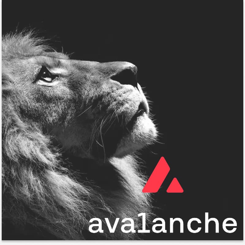 Cover Image for The Lion Does Not Concern Itself (October Edition): Founders Dinner hosted by Avalanche